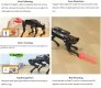 ai Vision Quadruped Robot Standard kit